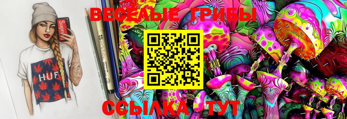 Галлюциногенные грибы MAGIC MUSHROOMS  Вход с VPN  Галлюциногенные грибы GOLDEN TEACHER  Химки 